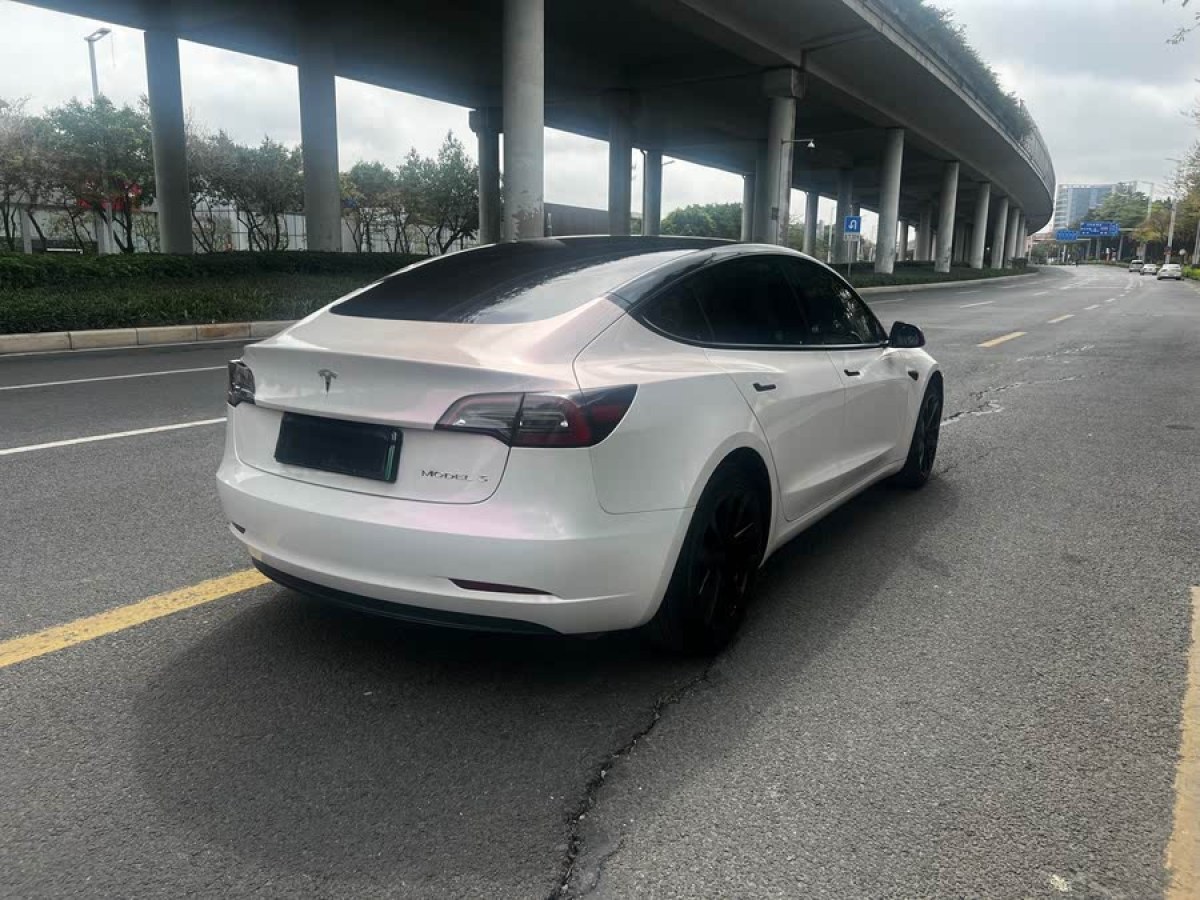 特斯拉 Model 3  2021款 標(biāo)準(zhǔn)續(xù)航后驅(qū)升級(jí)版 3D6圖片