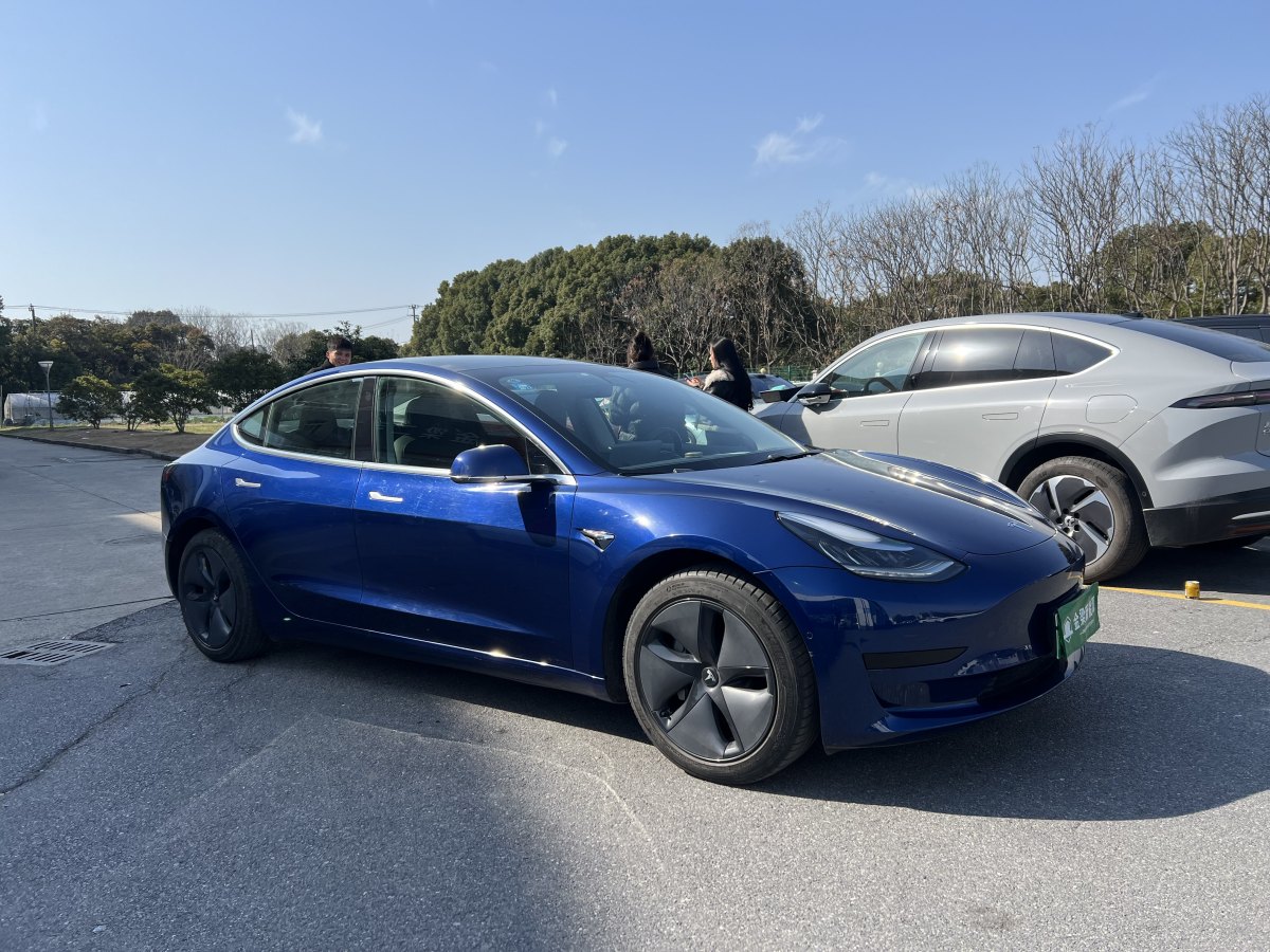 特斯拉 Model 3  2019款 標(biāo)準(zhǔn)續(xù)航后驅(qū)升級版圖片