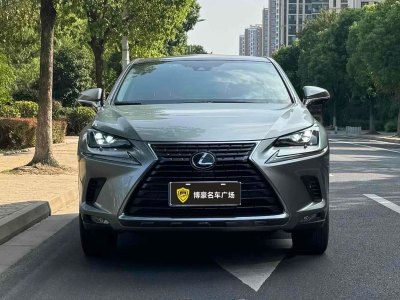 2021年3月 雷克薩斯 NX 300h 全驅(qū) 鋒致版 國(guó)VI圖片