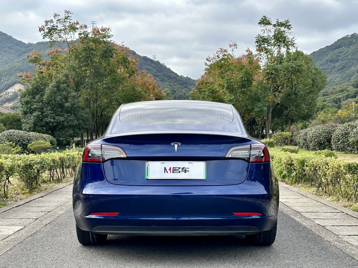 特斯拉 Model 3  2019款 標準續(xù)航后驅升級版圖片