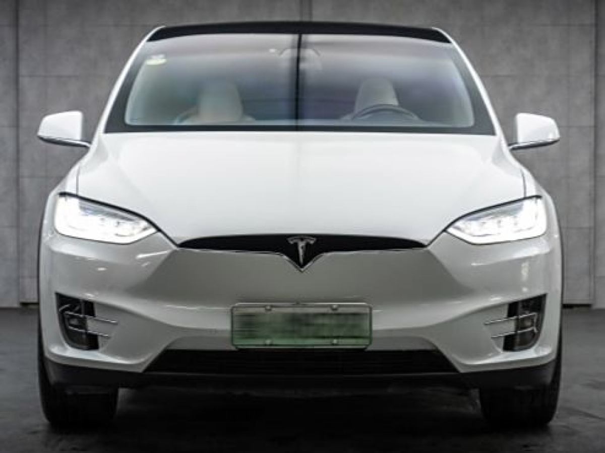 特斯拉 Model X  2016款 Model X 90D圖片