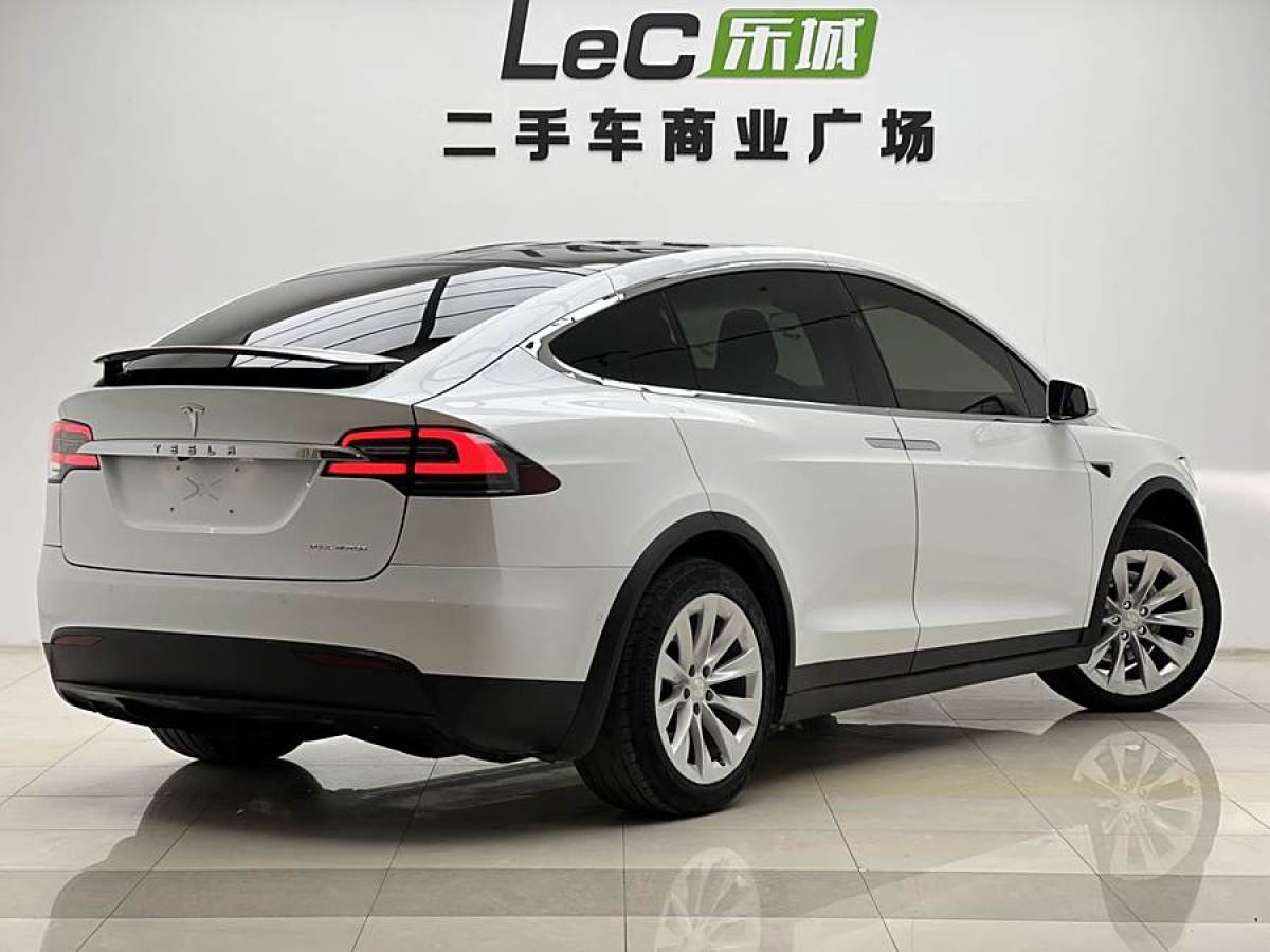 特斯拉 Model X  2019款 長(zhǎng)續(xù)航版圖片