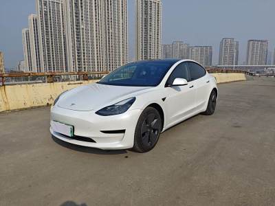 2021年2月 特斯拉 Model 3 改款 標準續(xù)航后驅(qū)升級版圖片