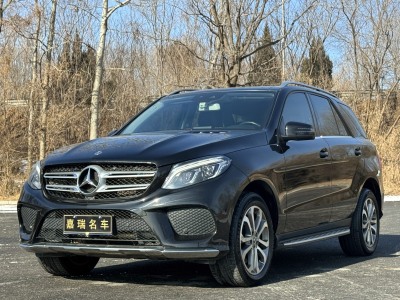 2018年4月 奔馳 奔馳GLE(進(jìn)口) GLE 320 4MATIC 動感型臻藏版圖片