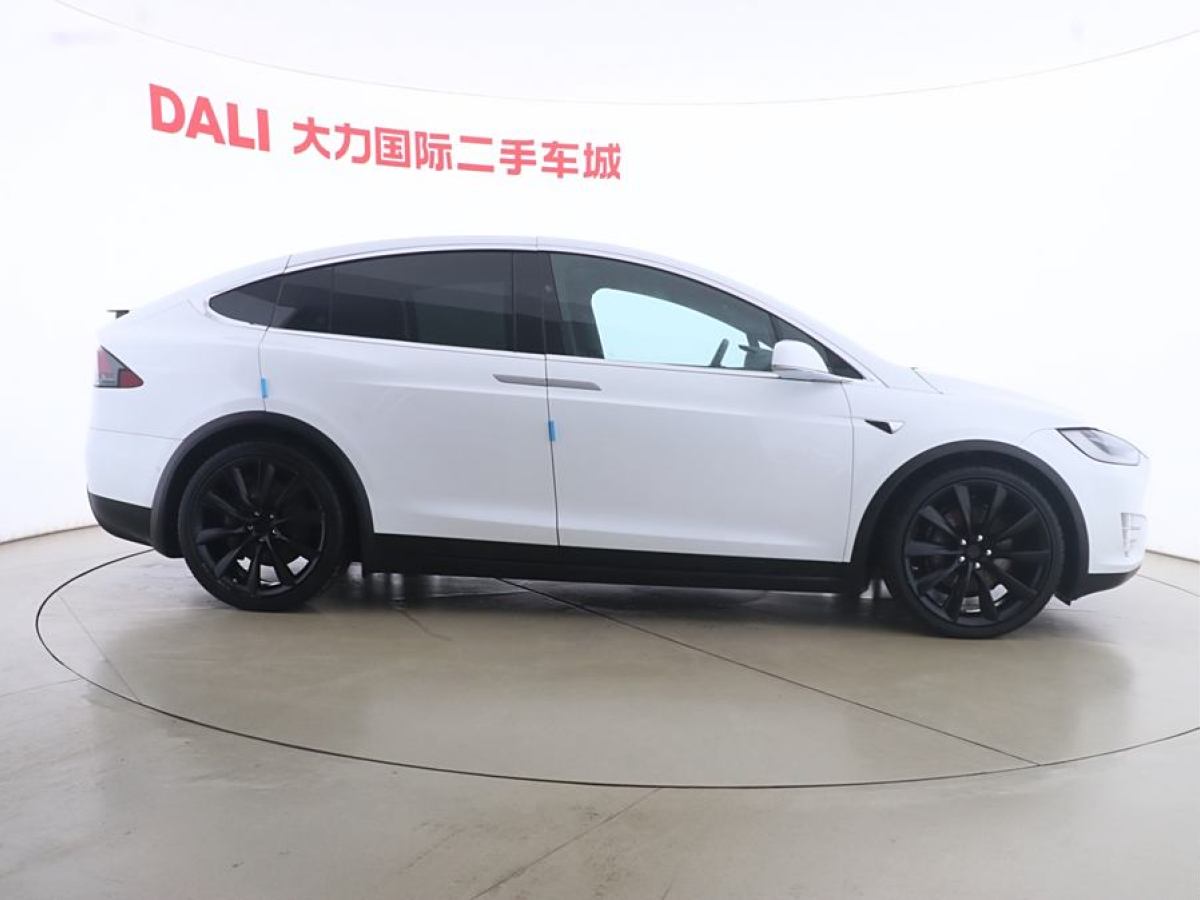 特斯拉 Model X  2017款 Model X 100D 長(zhǎng)續(xù)航版圖片