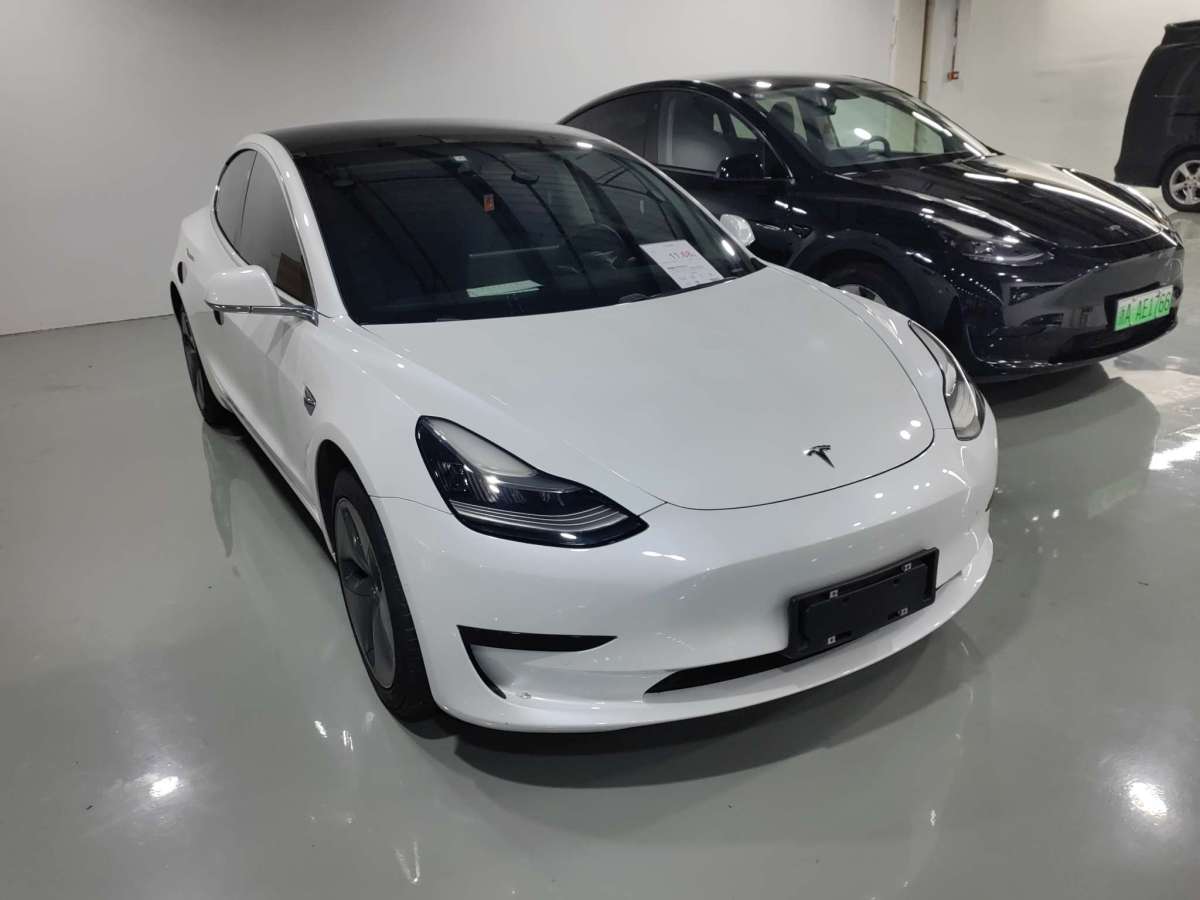 特斯拉 Model 3  2019款 長(zhǎng)續(xù)航后驅(qū)版圖片