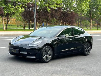 2020年4月 特斯拉 Model 3 標(biāo)準(zhǔn)續(xù)航后驅(qū)升級(jí)版圖片