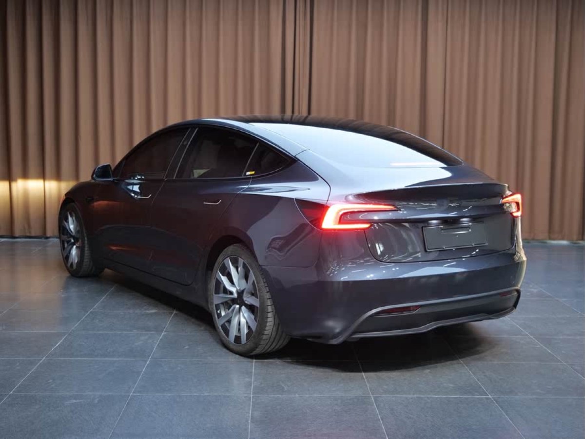 特斯拉 Model 3  2019款 長續(xù)航全輪驅(qū)動版圖片