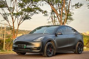 Model Y 特斯拉 焕新版 后轮驱动