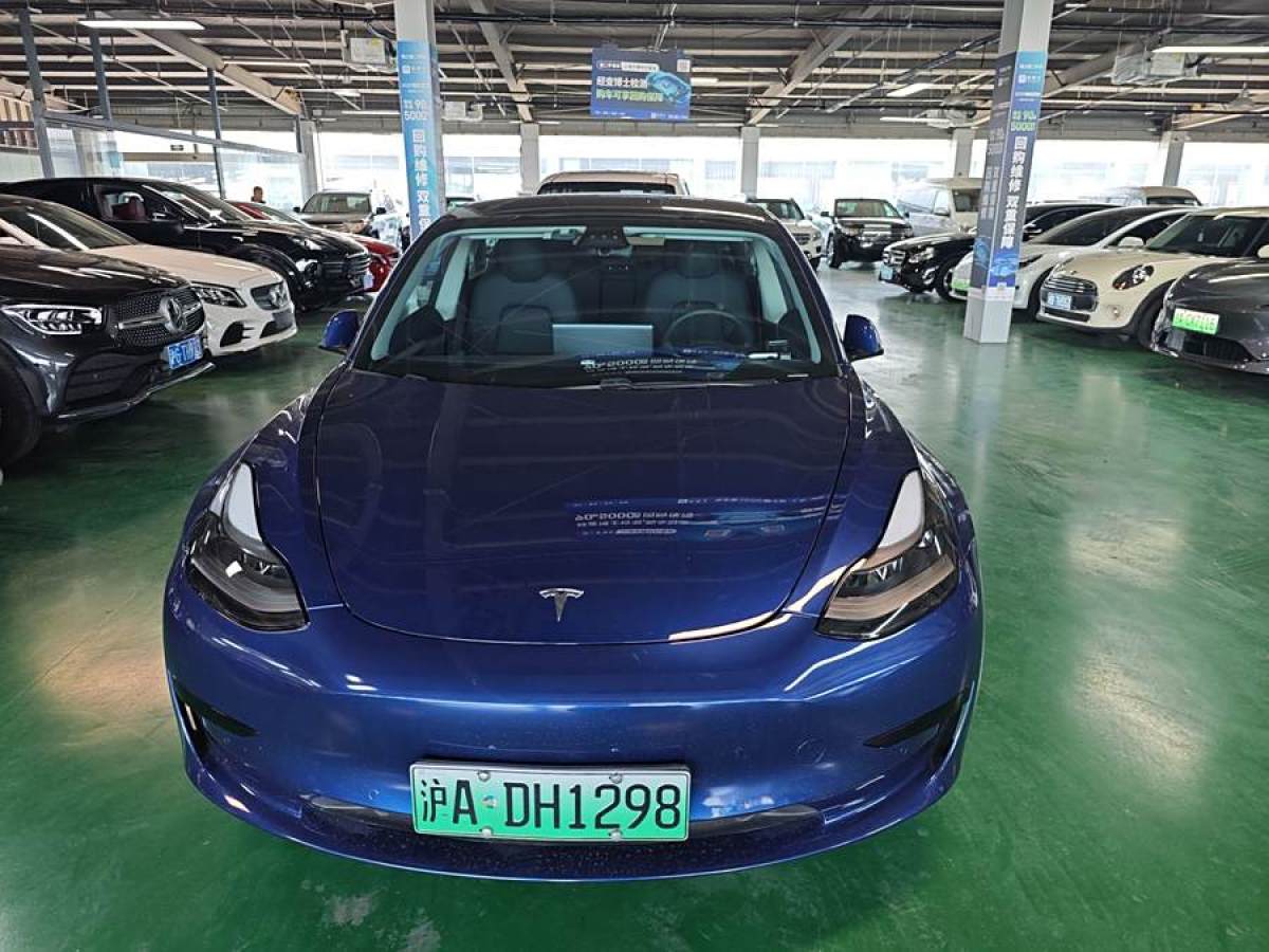 2021年2月特斯拉 Model 3  2021款 改款 標(biāo)準(zhǔn)續(xù)航后驅(qū)升級(jí)版