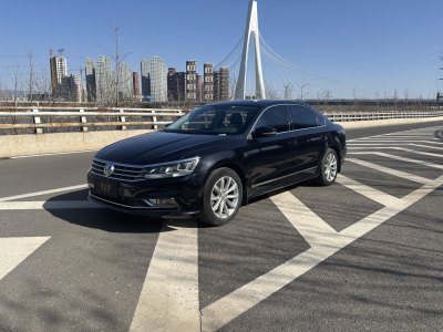 2016年6月 大眾 帕薩特 330TSI DSG御尊版圖片