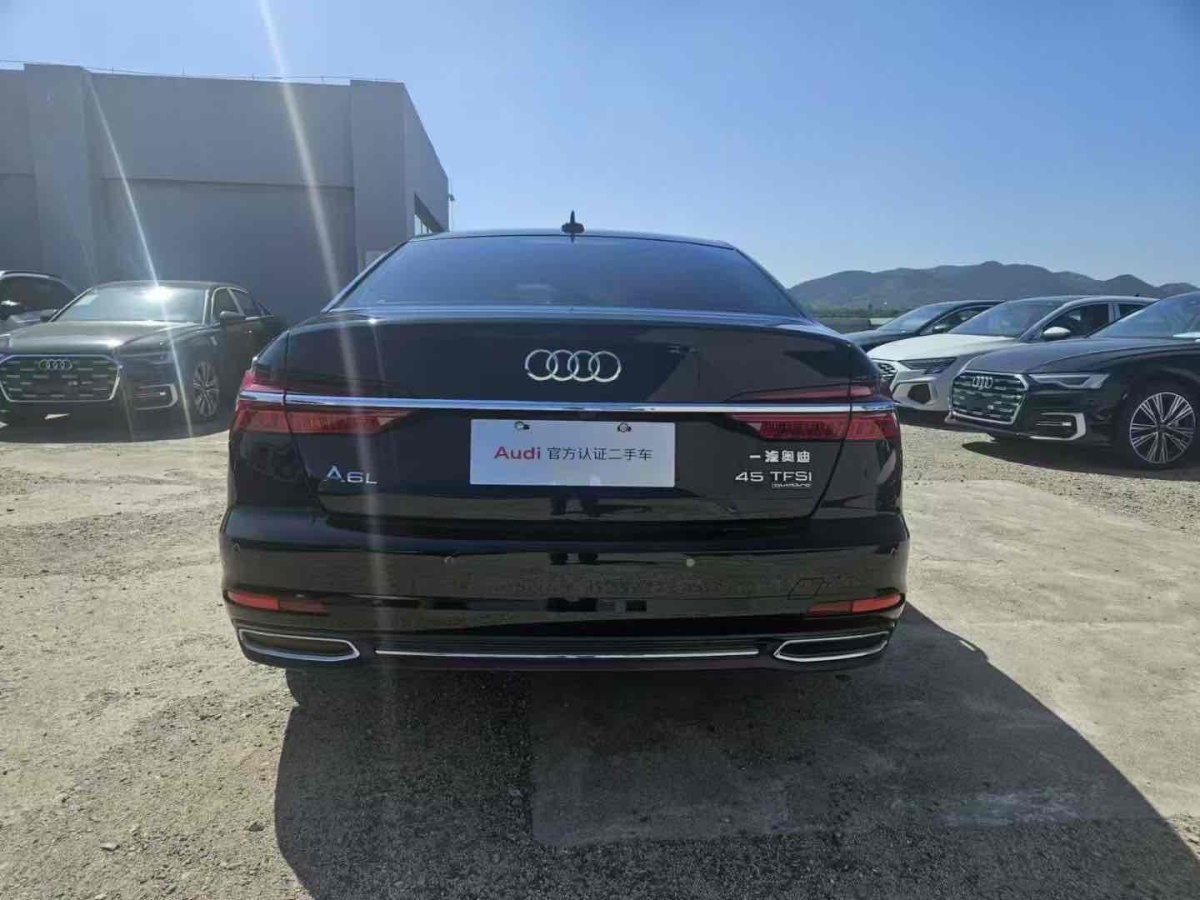 奧迪 奧迪A6L  2020款 45 TFSI quattro 臻選致雅型圖片