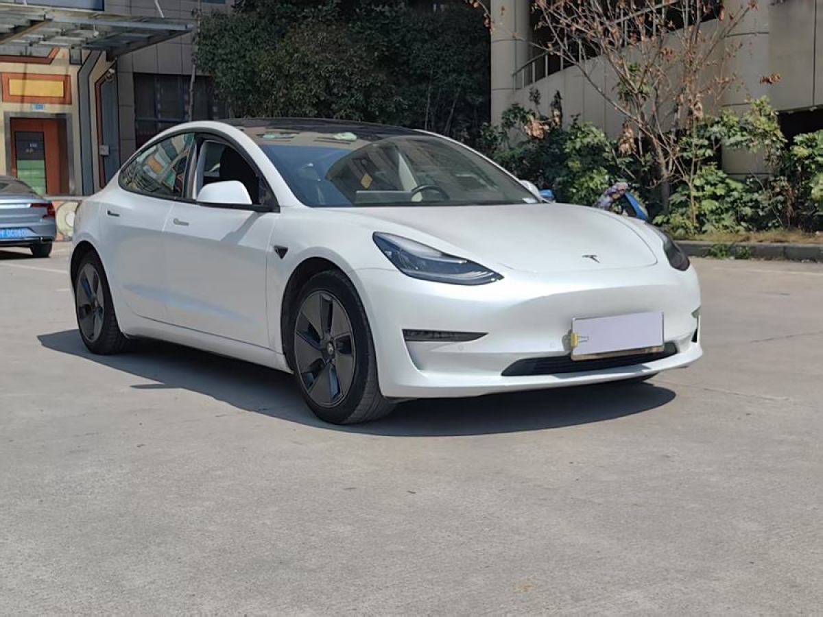 2019年4月特斯拉 Model 3  2019款 長續(xù)航全輪驅(qū)動版