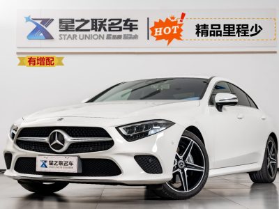 奔馳 奔馳CLS級(jí)(進(jìn)口) CLS 300 動(dòng)感型圖片