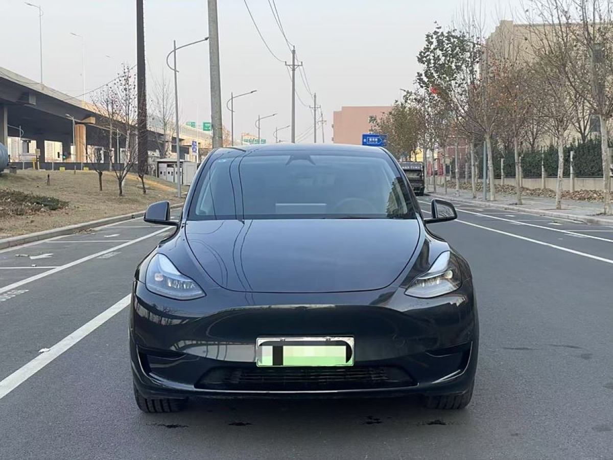 特斯拉 Model 3  2020款 改款 長續(xù)航后輪驅(qū)動版圖片