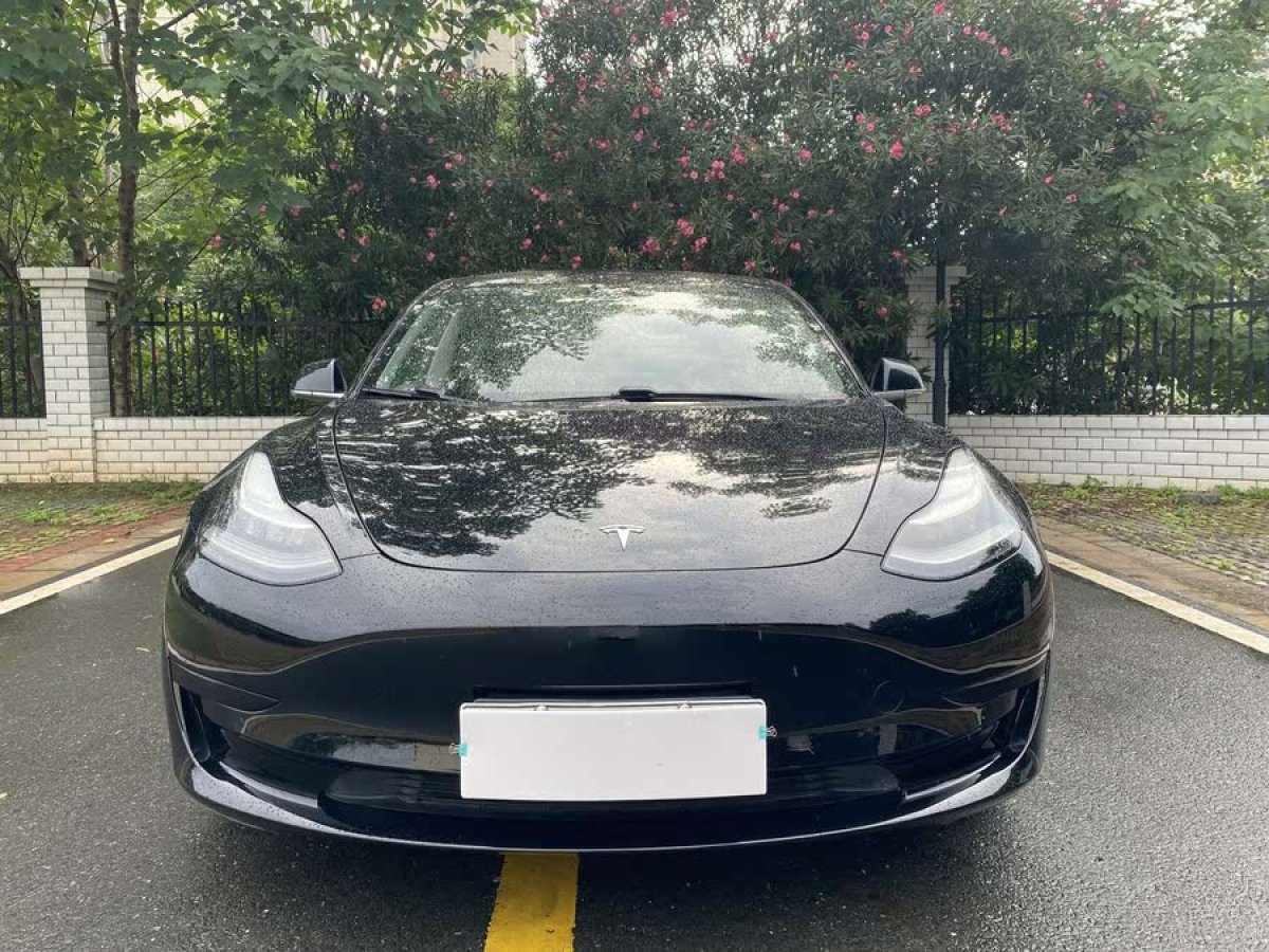 特斯拉 Model 3  2020款 改款 標(biāo)準(zhǔn)續(xù)航后驅(qū)升級(jí)版圖片