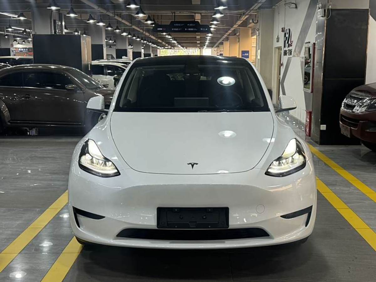 特斯拉 Model 3  2020款 改款 長(zhǎng)續(xù)航后輪驅(qū)動(dòng)版圖片