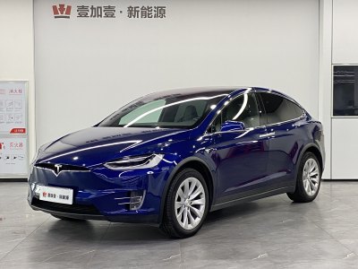 2019年8月 特斯拉 Model X 长续航版图片