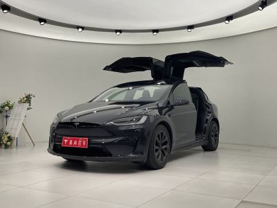 2024年1月 特斯拉 Model X 雙電機(jī)全輪驅(qū)動版圖片