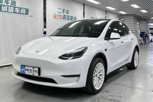 Model 3 特斯拉 长续航焕新版 双电机全轮驱动