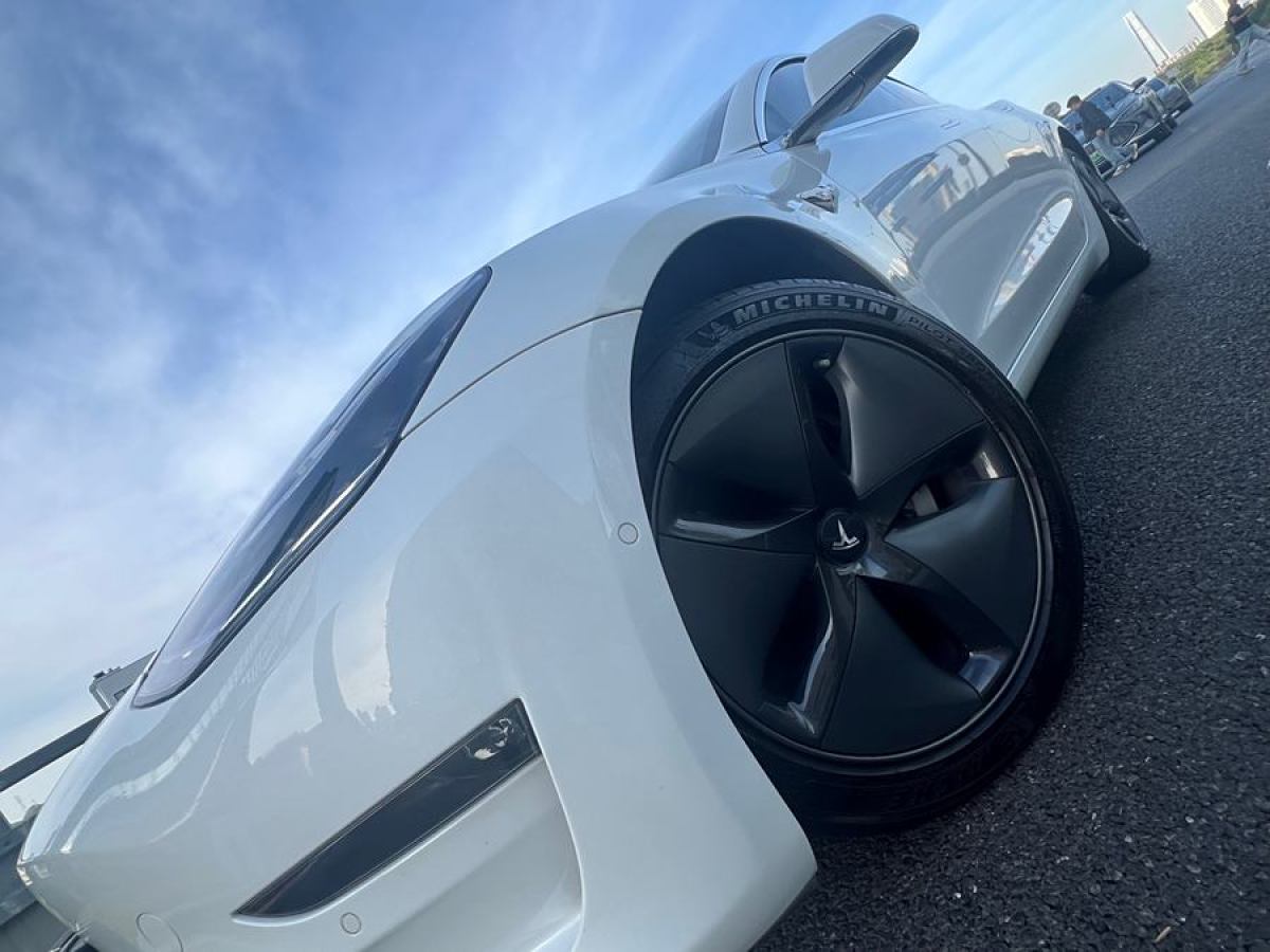 特斯拉 Model 3  2019款 長(zhǎng)續(xù)航全輪驅(qū)動(dòng)版圖片