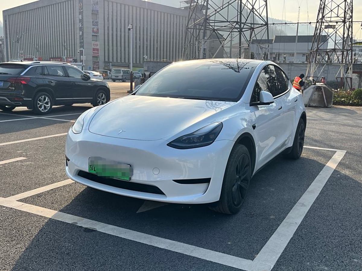 特斯拉 Model 3  2020款 改款 長續(xù)航后輪驅動版圖片