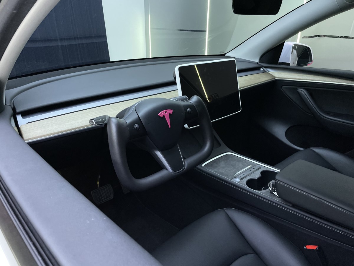 特斯拉 Model Y  2022款 后輪驅(qū)動版圖片