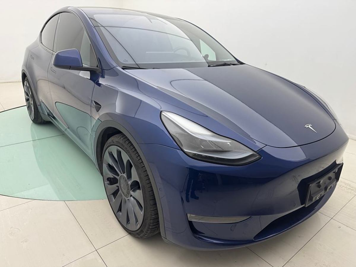 特斯拉 Model 3  2021款 改款 Performance高性能全輪驅(qū)動(dòng)版圖片