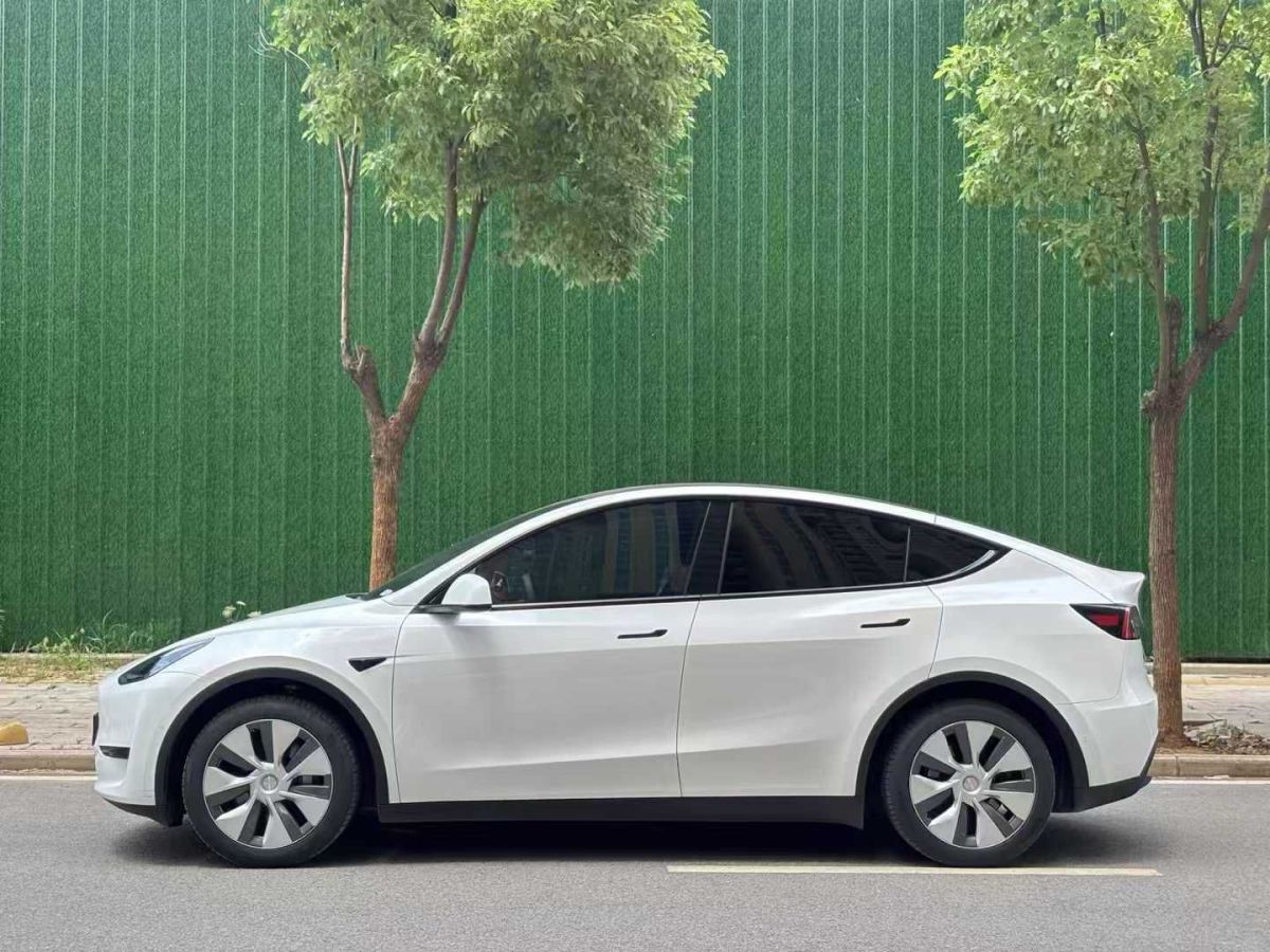 特斯拉 Model S  2023款 三電機(jī)全輪驅(qū)動(dòng) Plaid版圖片