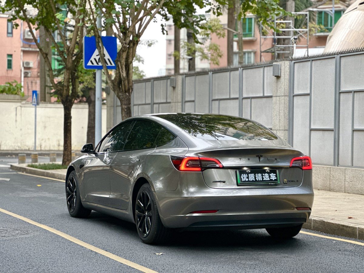 特斯拉 Model 3  2019款 標(biāo)準(zhǔn)續(xù)航后驅(qū)升級(jí)版圖片