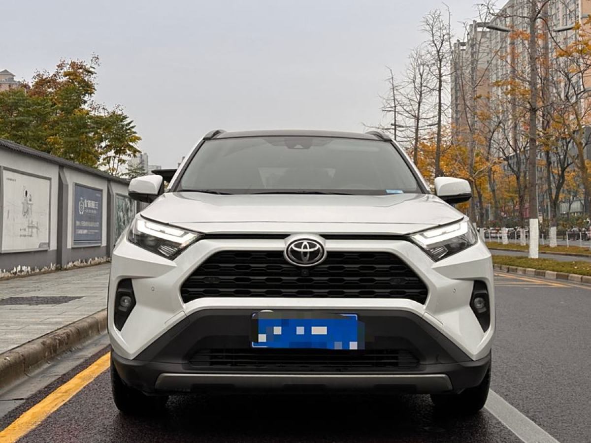 2024年1月豐田 RAV4榮放  2023款 2.0L CVT兩驅(qū)20周年鉑金紀(jì)念版