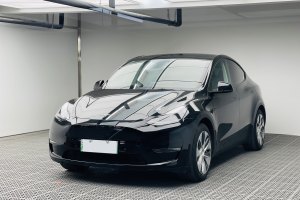 Model Y 特斯拉 改款 后輪驅(qū)動版