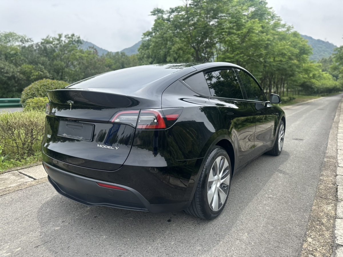特斯拉 Model Y  2021款 標準續(xù)航后驅(qū)版圖片