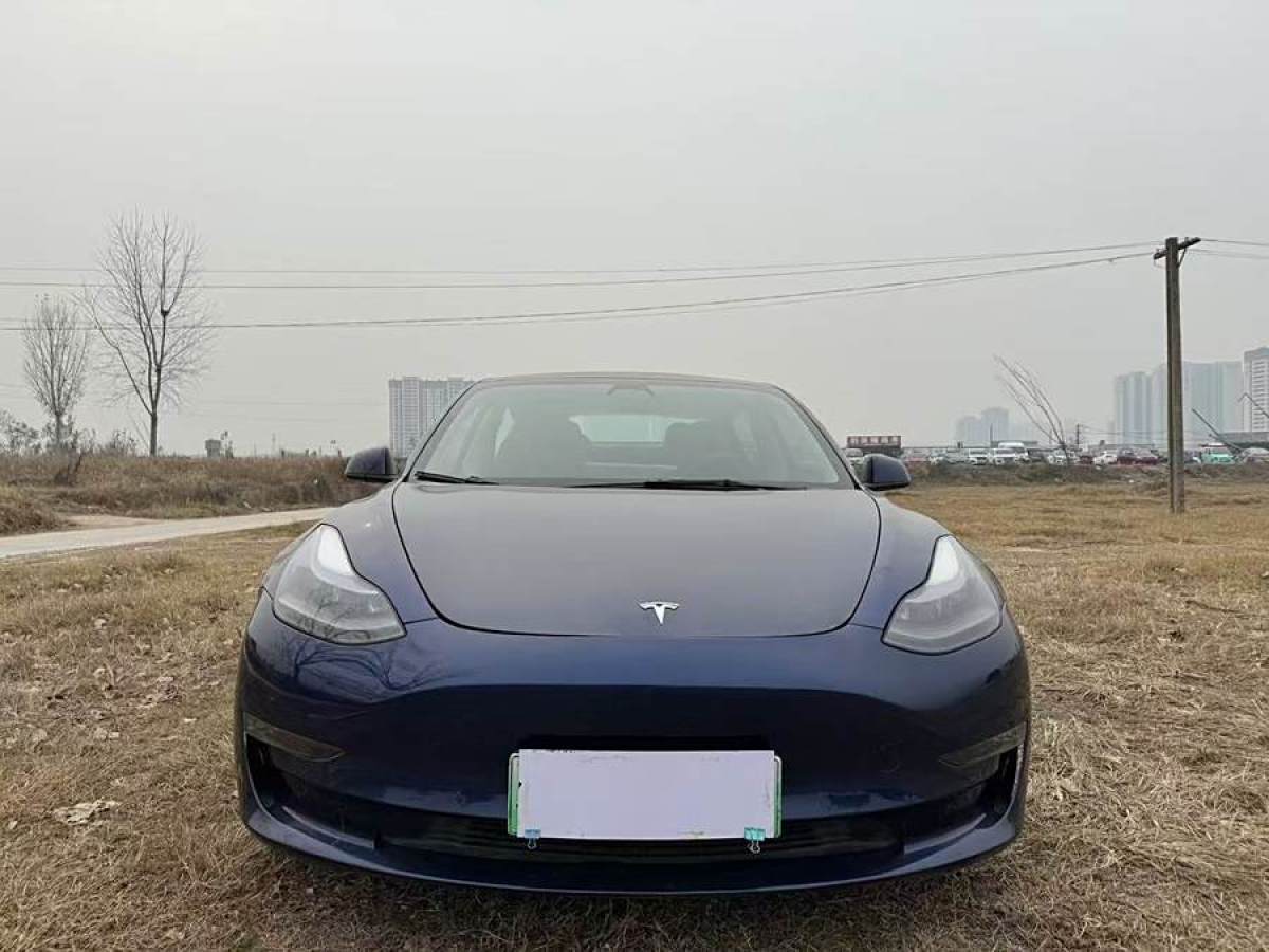 特斯拉 Model Y  2022款 Performance高性能全輪驅(qū)動版圖片