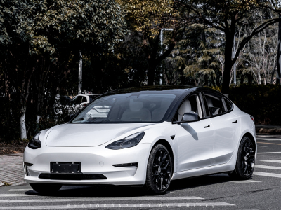 2020年12月 特斯拉 Model 3 長續(xù)航后輪驅動版圖片