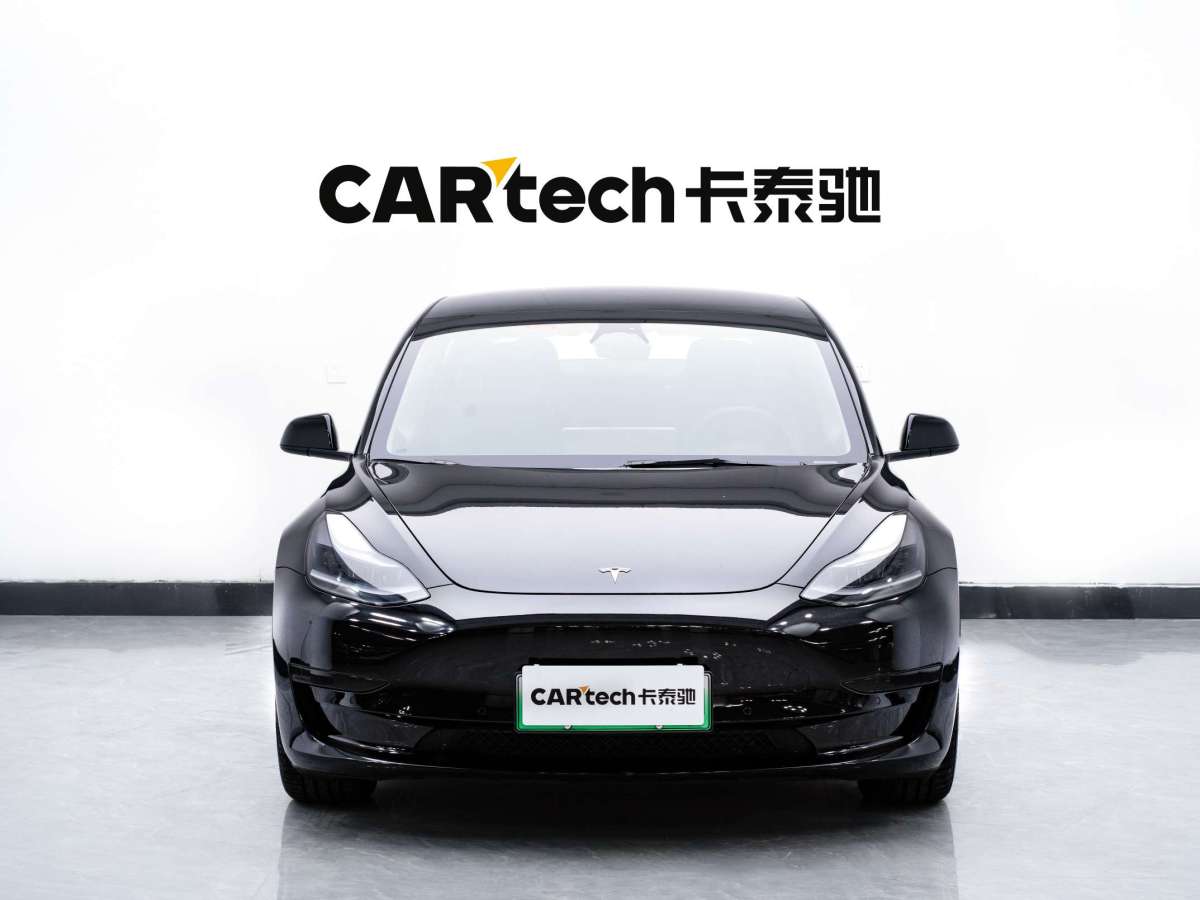 特斯拉 Model 3  2019款 標(biāo)準(zhǔn)續(xù)航后驅(qū)升級(jí)版圖片