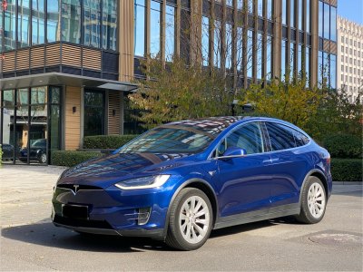 2018年7月 特斯拉 Model X Model X 100D 長(zhǎng)續(xù)航版圖片