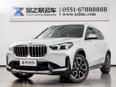 宝马 宝马X1 xDrive25Li X设计套装图片