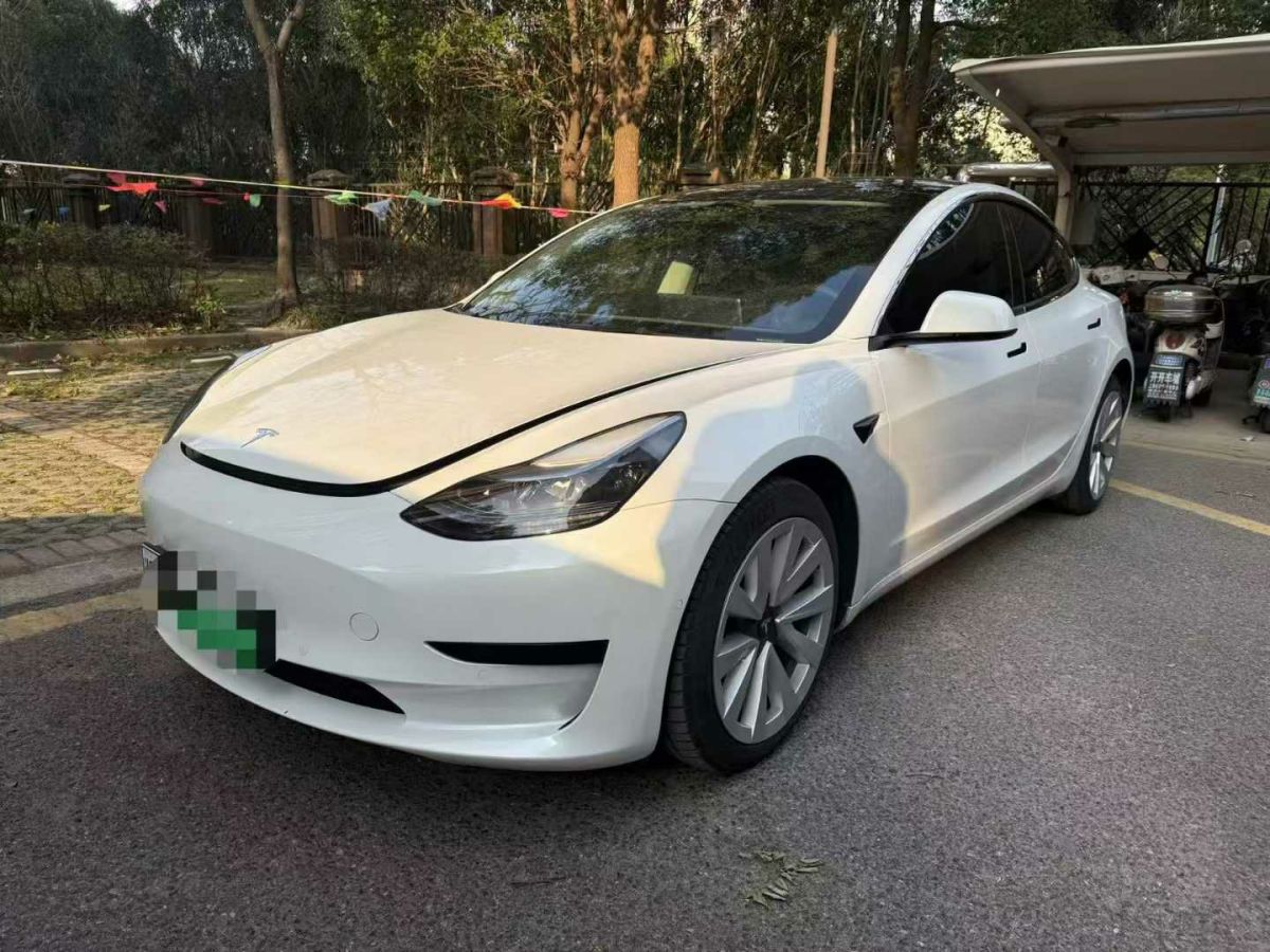 特斯拉 Model 3  2022款 Performance高性能全輪驅(qū)動版圖片