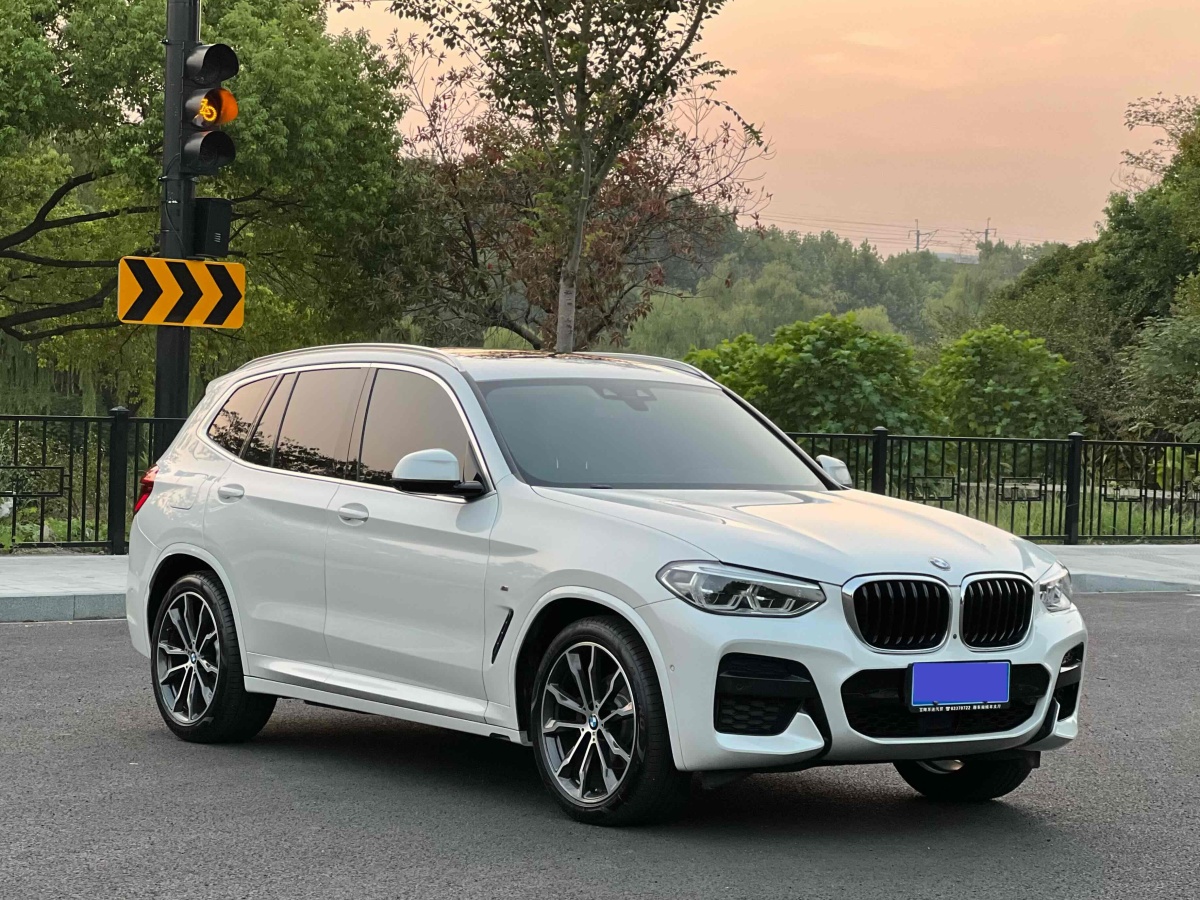 寶馬 寶馬X3  2020款 xDrive30i 領(lǐng)先型 M運(yùn)動(dòng)套裝圖片