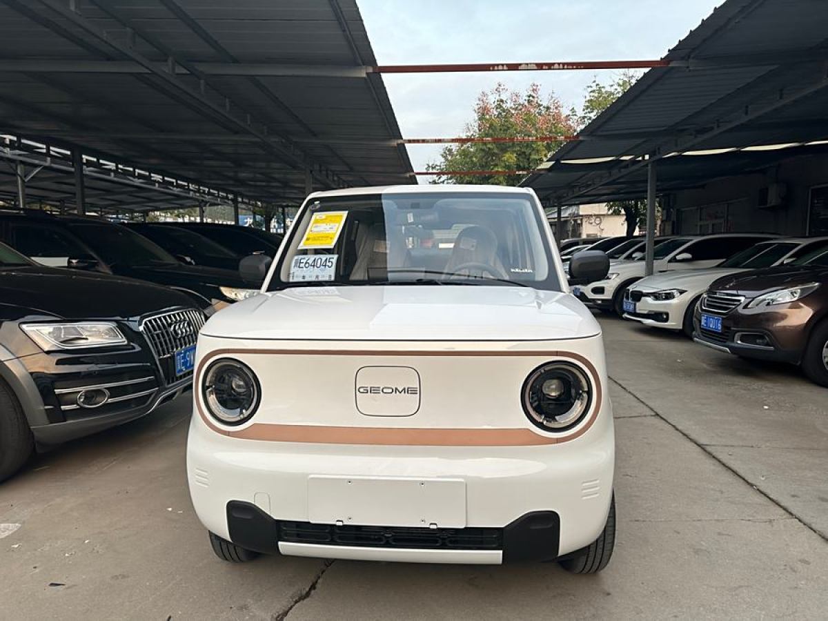 2024年10月吉利 熊貓mini  2023款 200km 耐力熊