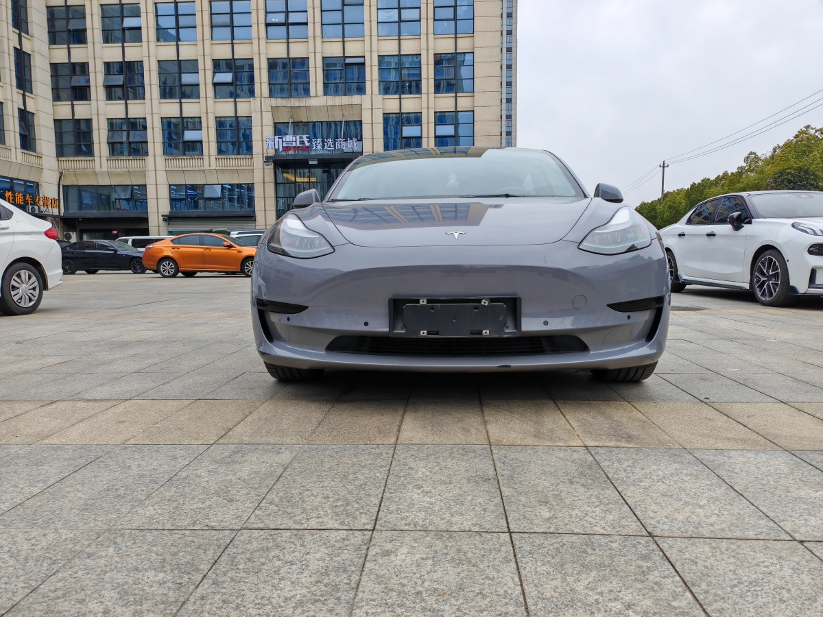 特斯拉 Model 3  2021款 標(biāo)準(zhǔn)續(xù)航后驅(qū)升級(jí)版 3D6圖片