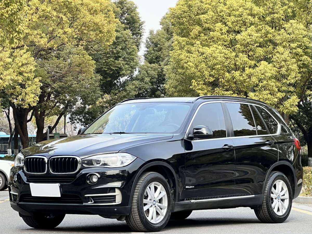 寶馬 寶馬X5  2014款 xDrive35i 典雅型圖片