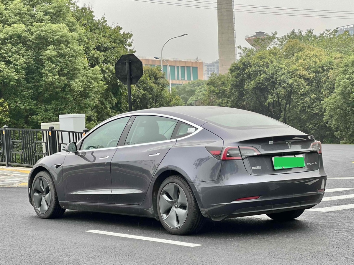 特斯拉 Model Y  2020款 改款 標準續(xù)航后驅(qū)升級版圖片