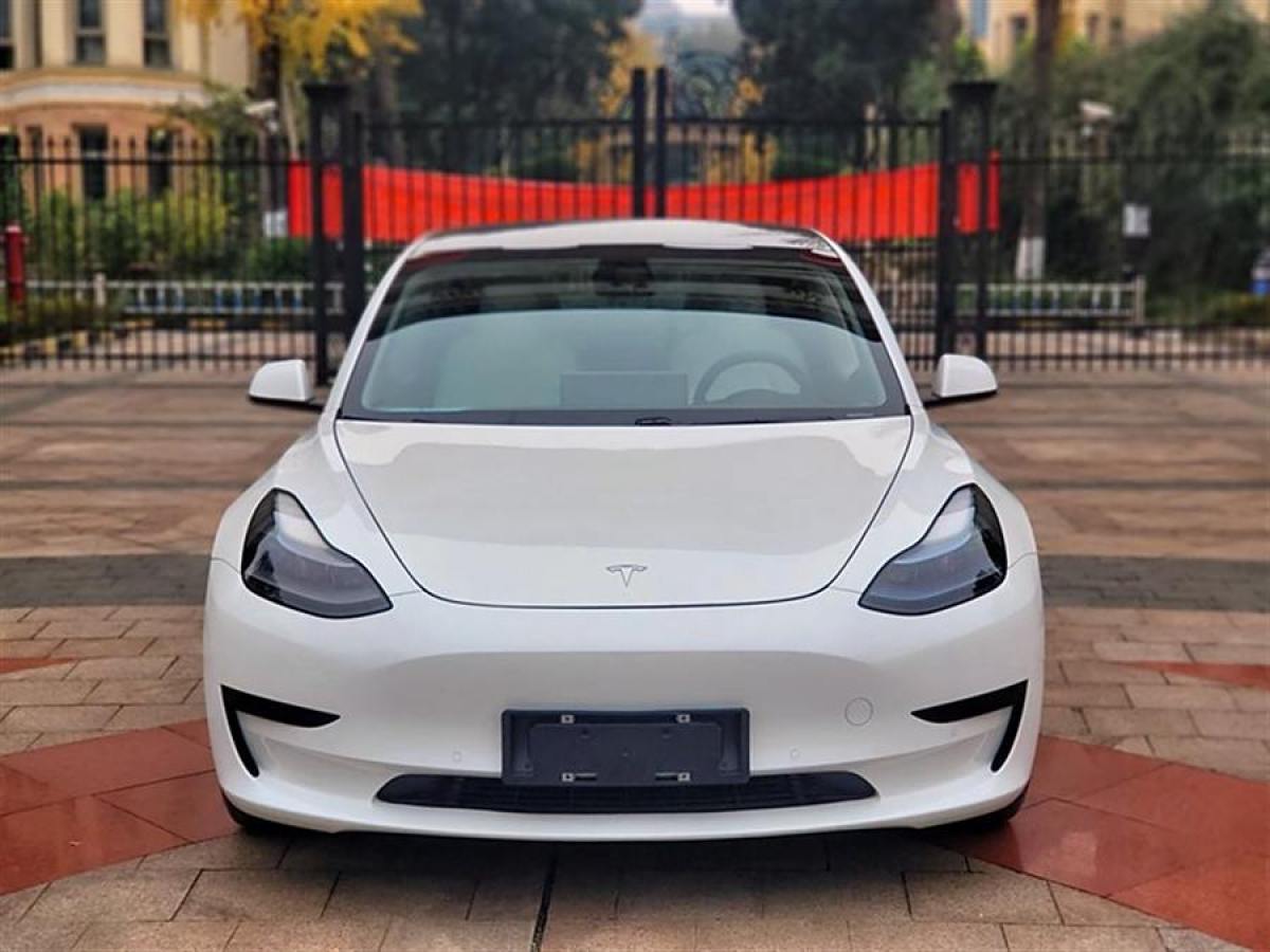 特斯拉 Model 3  2021款 改款 標(biāo)準(zhǔn)續(xù)航后驅(qū)升級(jí)版圖片