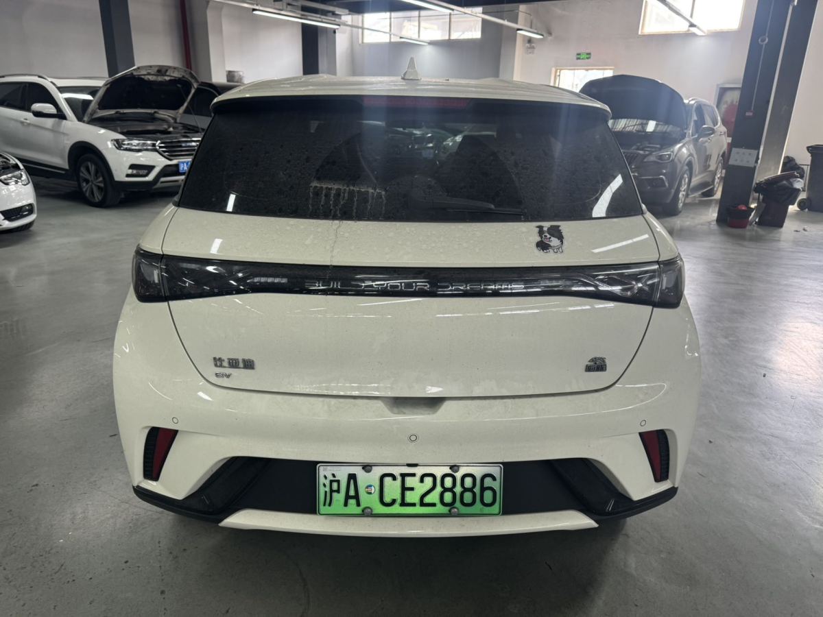 比亞迪 海豚  2023款 420km 時(shí)尚版圖片