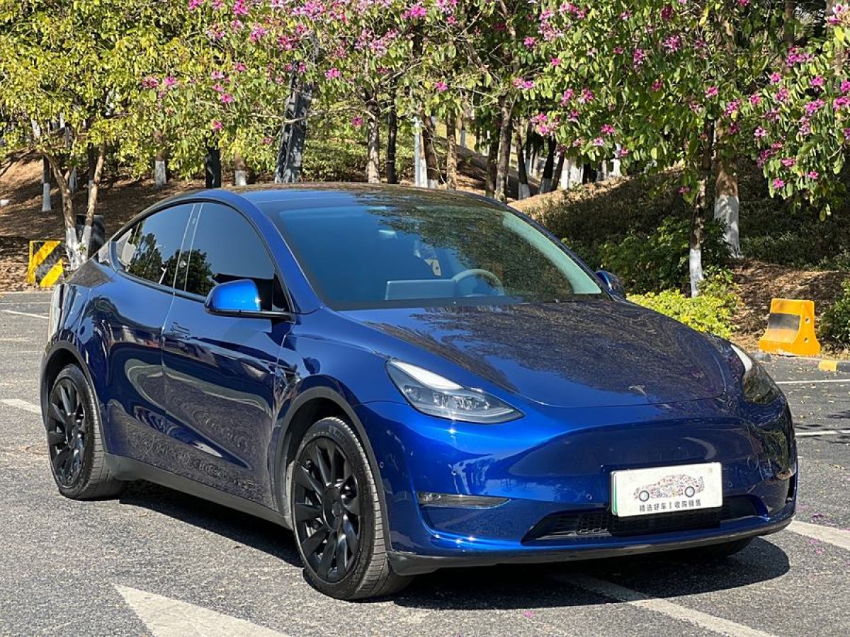 特斯拉 Model Y  2021款 改款 長續(xù)航全輪驅(qū)動(dòng)版圖片