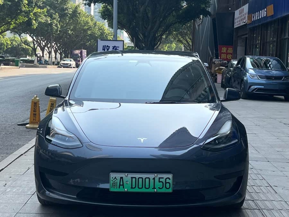 特斯拉 Model 3  2021款 改款 標準續(xù)航后驅升級版圖片