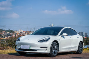 Model 3 特斯拉 标准续航后驱升级版