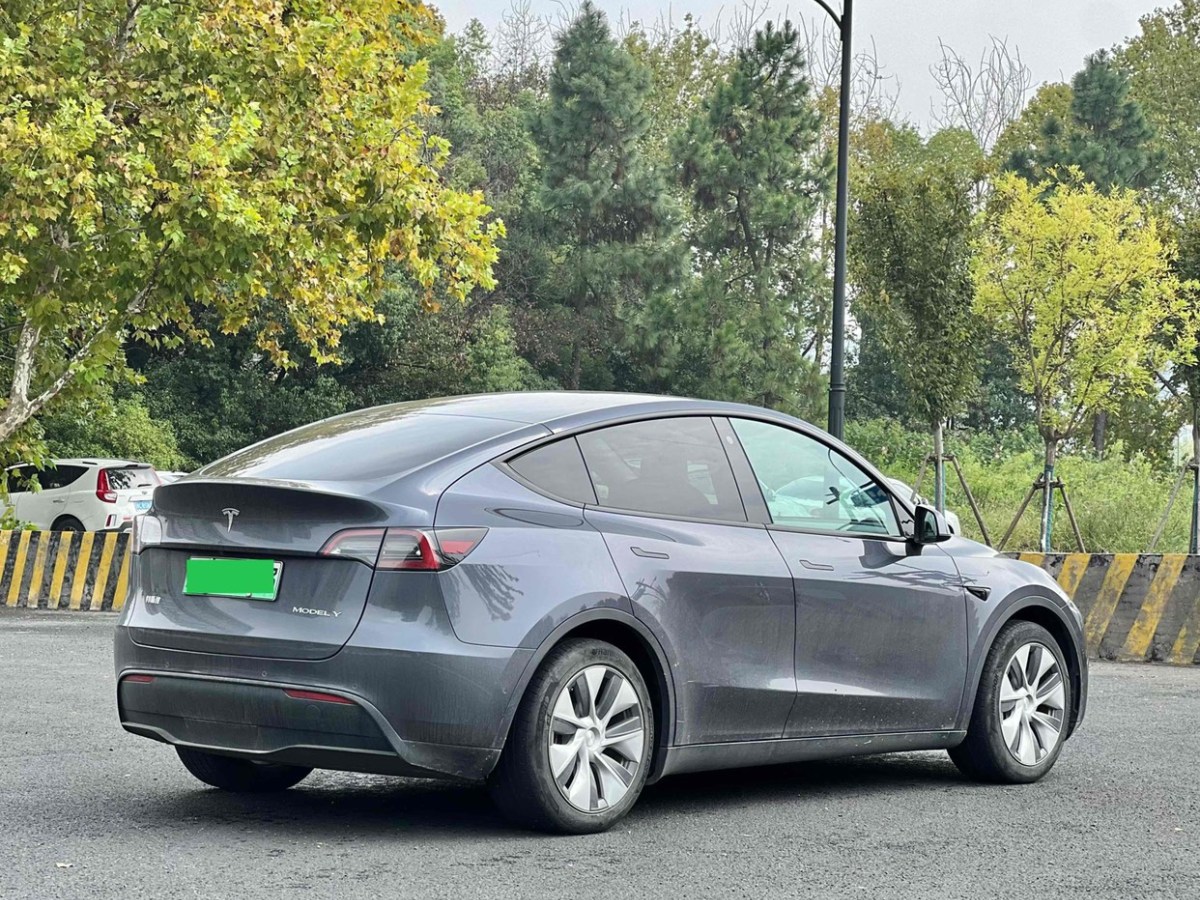 特斯拉 Model 3  2021款 標(biāo)準(zhǔn)續(xù)航后驅(qū)版圖片